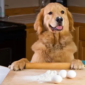 9 Ways to Lower and Manage Cortisol Levels